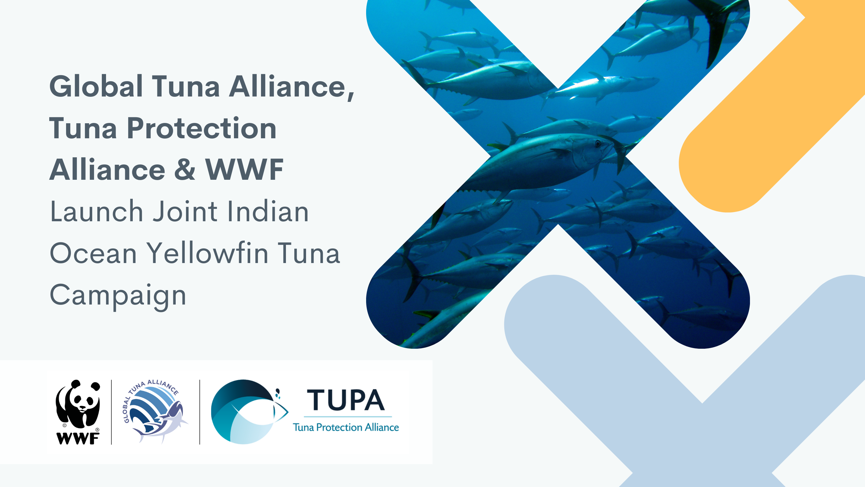 Indian Ocean Managers Must Commit to Long-Term Rebuilding of Yellowfin Tuna